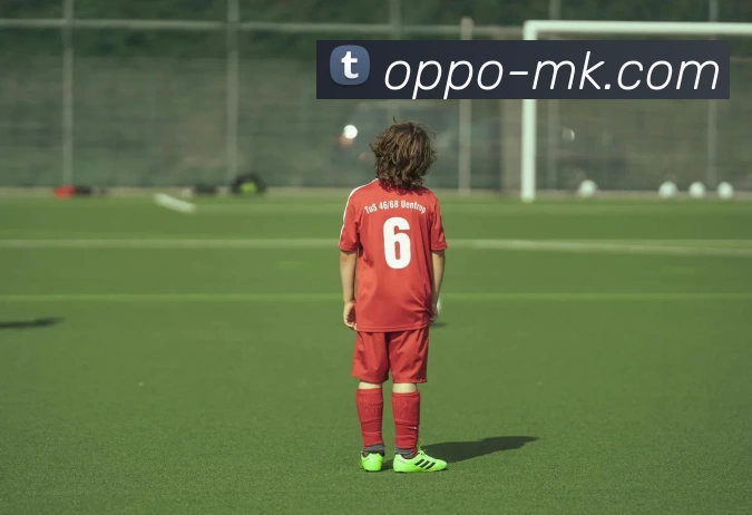 MK体育APP 高清赛事图